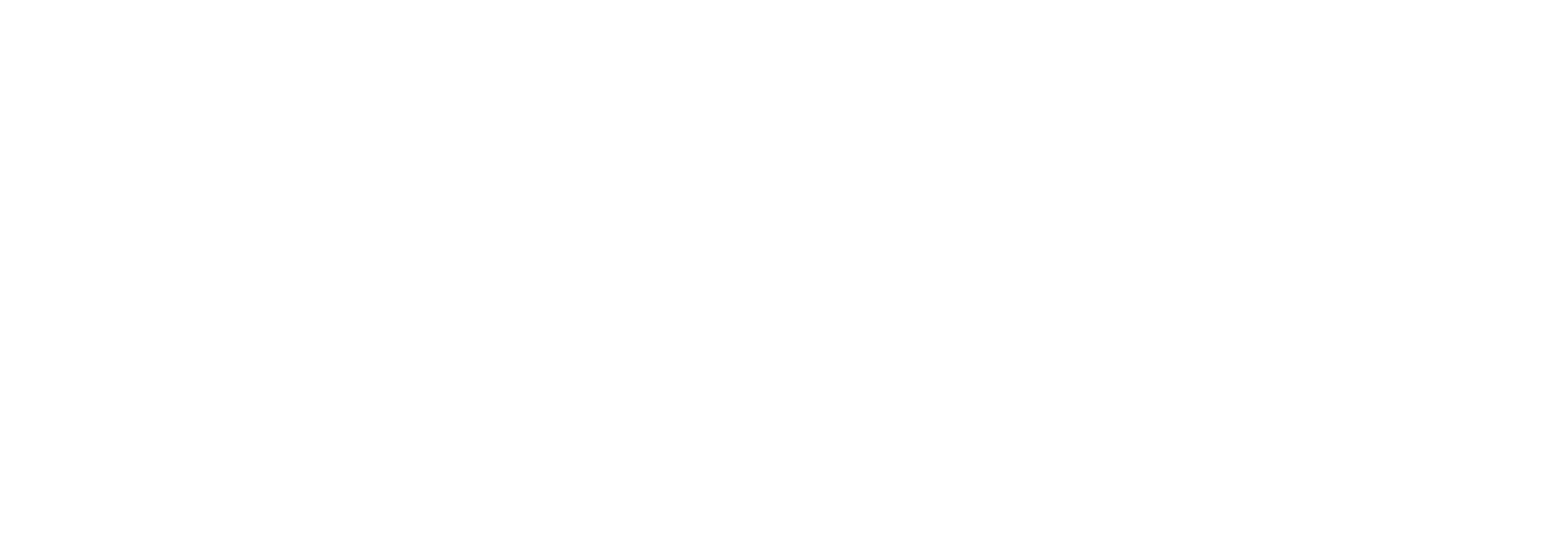 Logo Fleet Solution.